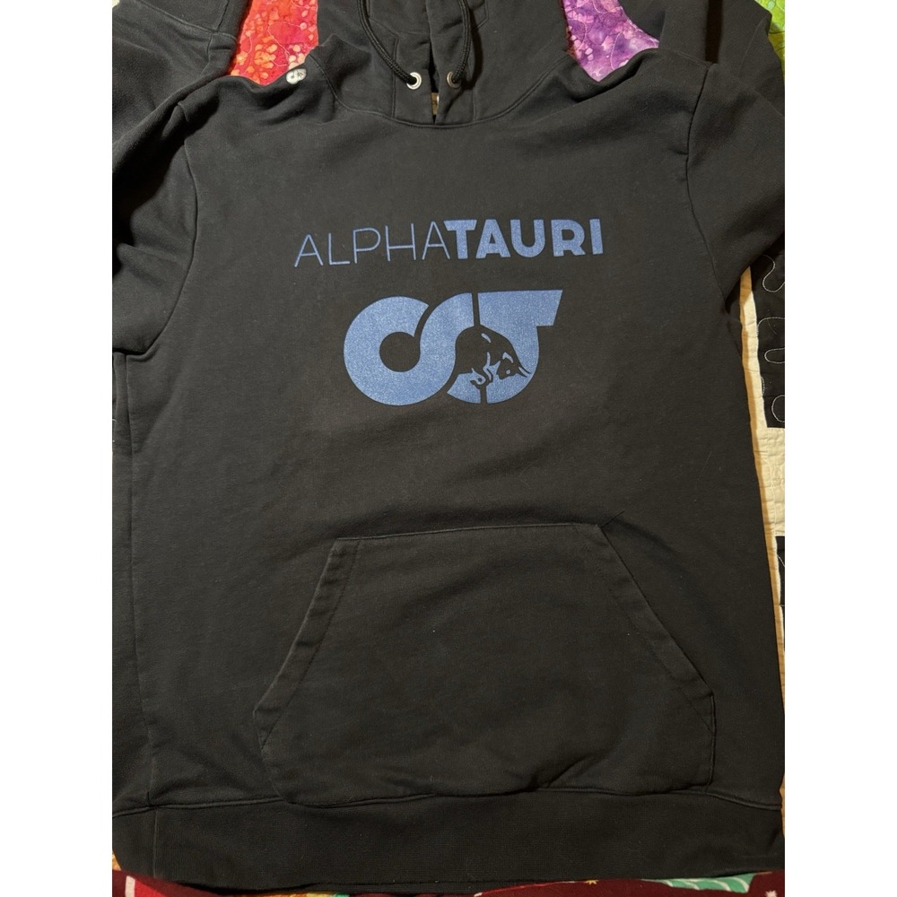 Alpha Tauri Fits Body and Mind Signature Hoodie Black Med Formula One F1 RedBull